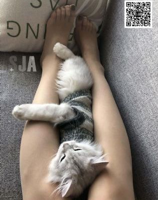 国产操作系统好用吗_剧情片高清在线